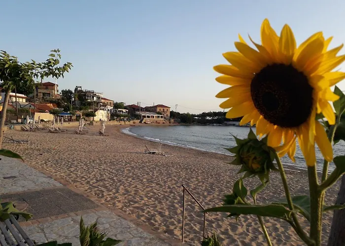 Antonias House Casa de Férias