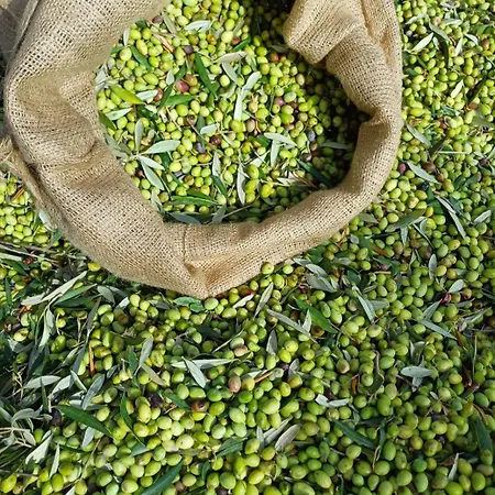 Antonias House Σπίτι διακοπών