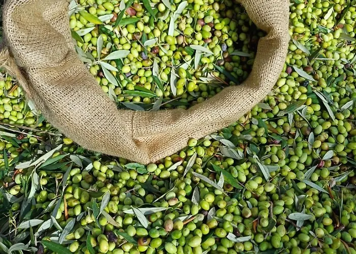 Antonias House Semesterbostad